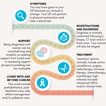 Prostate Cancer Pathway.png