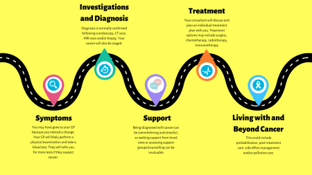 Head_and_Neck_Cancer_Pathway.png